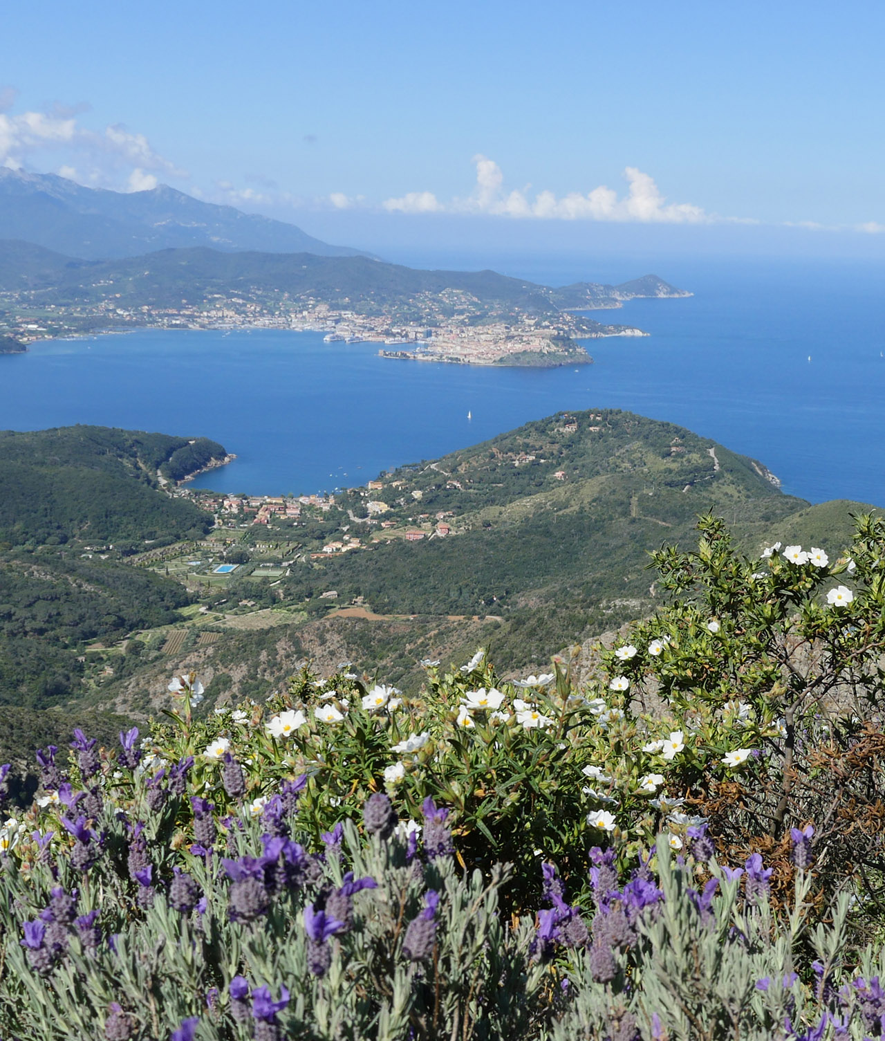 Isola d'Elba Rio trail panorama dal percorso